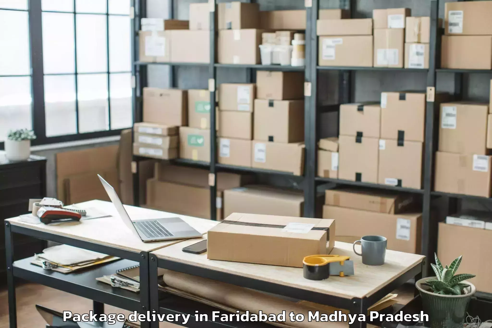 Top Faridabad to Dhamnod Package Delivery Available